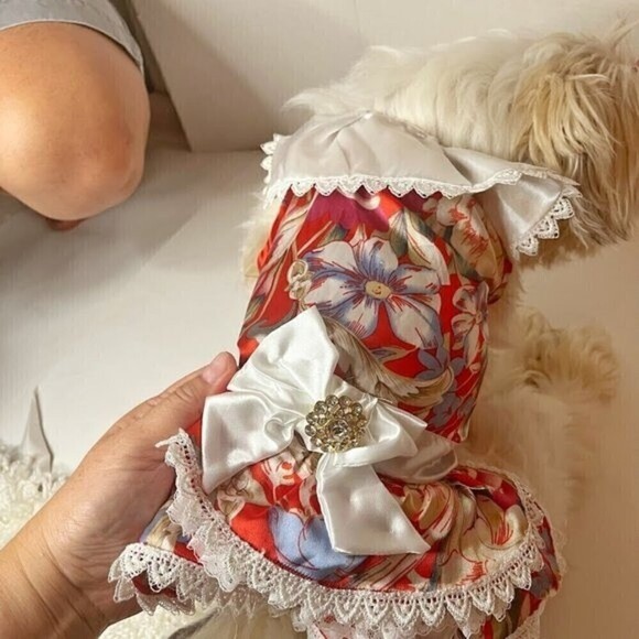Small Dog Floral Party Wedding Lace Peter Pan Collar Tiered Tulle Dress with Bow - Picture 3 of 10